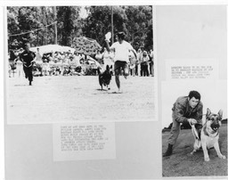 1DEMO1983