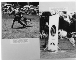 2DEMO1983
