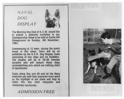 2NPDOGPAMPHELT