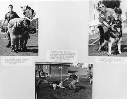 DOGTRAINING1983