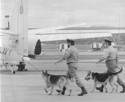 HMASALBATROS1982