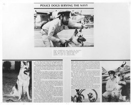 NPDOGPAMPHELT